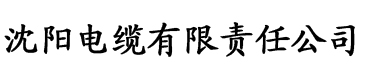 农村自建房电缆厂logo